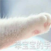 牵宝宝的手猫爪系列图片高清无水印版