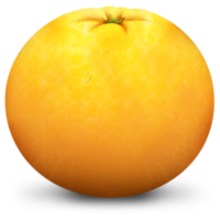 橘子水印添加器v1.0 绿色免费版